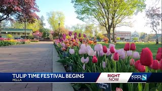 Tulip Time in full bloom in Pella [upl. by Valle]