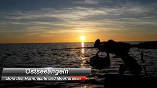 Fischen in der Ostsee Dorsche Hornhechte und MeerforellenSea Trout Frühjahr 2018 [upl. by Adlee464]