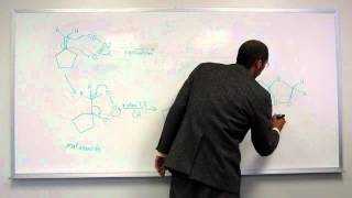 Ozonolysis of an Alkene  Reductive WorkUp 001 [upl. by Bushore]