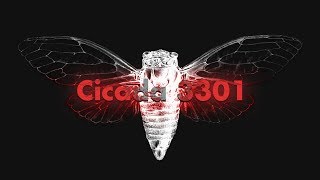 Cicada 3301 An Internet Mystery [upl. by Dermott504]