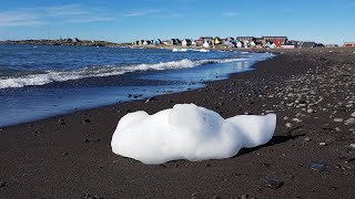 Erlebnisausflug Diskoinsel Grönland  Wo die Eisberge stranden  Qeqertarsuaq  Kreuzfahrt [upl. by Ermanno]