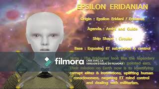 EPSILON ERIDANIAN ELF PEOPLE subliminal [upl. by Ley116]