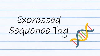 Expressed Sequence Tags [upl. by Aronle839]