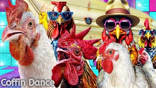 SUPER MEGAMIX FUNNY CHICKENS amp ROOSTERS COFFIN DANCE ASTRONOMIA COVER [upl. by Sisenej727]