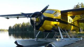 Wilderness Air DHC3 pistonengine Otter on a early morning departure to one of the outposts [upl. by Pearson248]