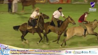 Rueda de Petisos Viernes 20 de Enero 2017  Fiesta Nacional del Caballo y la Tradición [upl. by Ingham301]