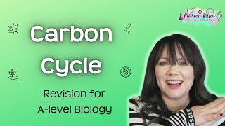 Carbon Cycle  Revision for Biology ALevel [upl. by Ajiam]