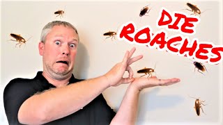 The ONLY Way to Get Rid of ROACHES  Tenant Left Cockroaches Landlords Dont Make These Mistakes [upl. by Nnahtur369]