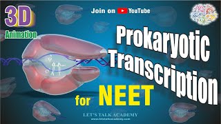 Prokaryotic Transcription 3D Animations  NEET Classes Prokaryotic Transcription in 3D [upl. by Bolte]