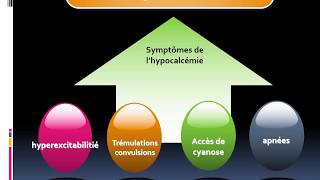 formation accélérée pour débutant en PEDIATRIE  cours 3 HYPOCALCEMIE chez le nouveau né [upl. by Svend412]