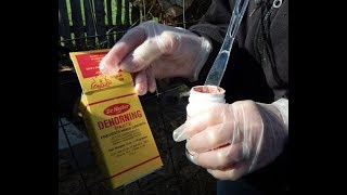 Applying Dehorning Paste On A New Calf [upl. by Safoelc990]