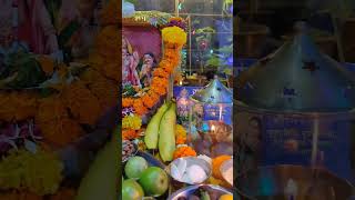 Aamla navmi Pooja 🙏🌹shortsvideo amlanavmi shorts [upl. by Arahsak]