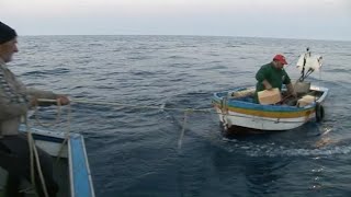 Pesca della Sarda con la tecnica della menaide [upl. by Eirrahs]