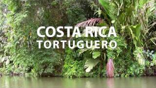 Costa Rica  Tortuguero National Park  gwegnerde [upl. by Oates]