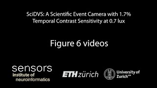 ESSERC SciDVS paper Fig 6 natural scenes videos [upl. by Lati]