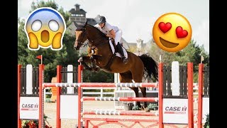 Best Horse Breeds Used for Show Jumping [upl. by Stiegler467]