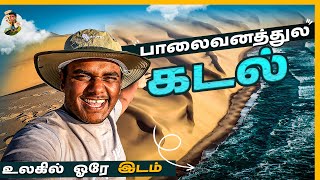 ஒரு பயணும் Lift தரல😓  Traveling In Desert கொடுமைகள்  Namibia  Tamil Trekker [upl. by Hermosa]