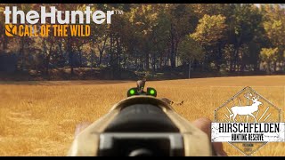 Cazando en Hirschfelden Corzo y Ciervo Comun  TheHunter Call of the Wild [upl. by Eveleen]