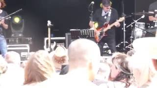 Miller Anderson Burg Herzberg Festival 2016 Live HD [upl. by Nelon]