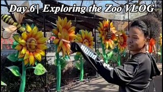 Day 6 Exploring the STL Zoo  VLOG [upl. by Bausch]