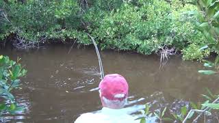 Fishing the Chartreuse Dahlberg Diver Fly [upl. by Andel]