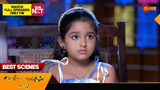 Swargavathil Pakshi  Best Scenes  14 Nov 2024  Surya TV Serial [upl. by Vance589]