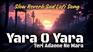 Yara O Yara Teri Adaone Mara Slow Reverb Sad Lofi Song DJ Surya [upl. by Map]