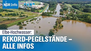 ElbeHochwasser RekordPegelstände in Tschechien amp Norddeutschland – Was ihr wissen müsst INDR Info [upl. by Jemie]