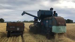 Old Ransomes combine cutting barley [upl. by Ynehpets]