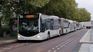 Des bus Réseau ASTUCE à Rouen Elbeuf et SottevillelèsRouen le 300924 [upl. by Dewar]