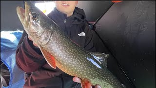 Ice Fishing Fish Lake UTAH  Big Splake and Lake Trout [upl. by Hepza]