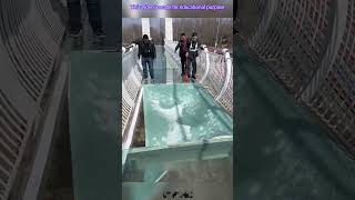 Glass bridge worker facts experiment science scienceexperiments physics shorts bengali [upl. by Catharine]