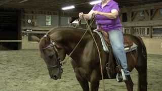 Intro to Western Dressage More Basic Tips [upl. by Ploss997]