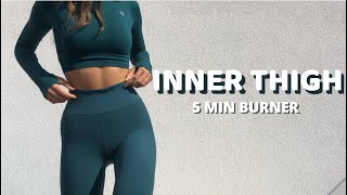 INTENSE 5 MIN INNER THIGH BURN [upl. by Winfield53]