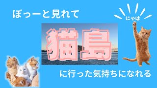 無意識で見れる【猫島】に行った気になれる [upl. by Shaughnessy894]