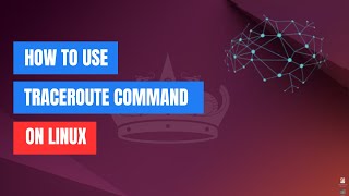 How to Use the traceroute Command on Linux [upl. by Annairb]