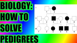 Biology How To Solve Pedigree Charts amp Questions [upl. by Ahker]