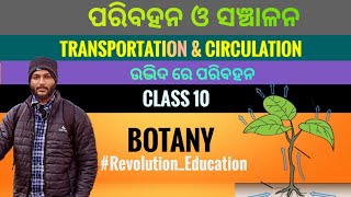 Transportation and Circulation in plants  Class 10 botany chapter3 in odia [upl. by Noryd]