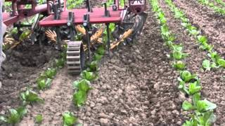 Alternative cultivators for organic vegetable production [upl. by Slade34]