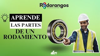 ¿Conocías las partes de un Rodamiento 💡 [upl. by Fraze]