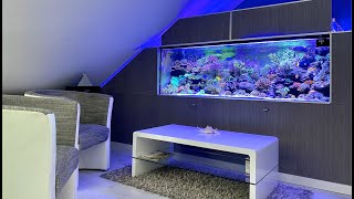 GERMAN REEF TANKS  no skimmer no sump  1000 liters mixed SPS and LPS saltwater aquarium  DSB [upl. by Varion]