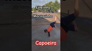 capoeira macaquinho estrelinha [upl. by Hollander180]