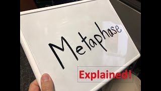 Metaphase explained [upl. by Salvador]