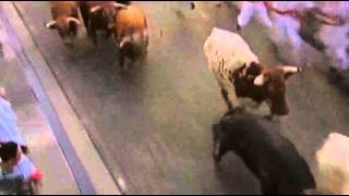 Raw Running With the Bulls in Spain [upl. by Garreth]