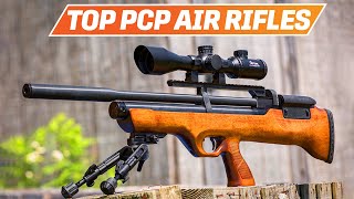 Best PCP Air Rifle 2024  The Only 4 You Should Consider Today [upl. by Ezzo]