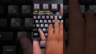 Gateron Gecko silent switches short shorts gateron keyboard asmr mechanicalkeyboard [upl. by Wells]