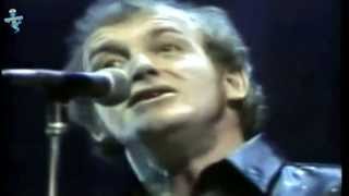 Joe Cocker  A Whiter Shade Of Pale  Live remastered to Widescreen LyRiCs englishdeutsch [upl. by Sualkcin]