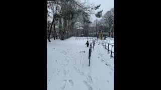 winter at faherty playground boston 2022 [upl. by Ahsinut134]