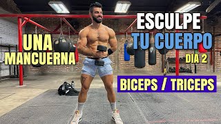 Rutina de Biceps y Triceps Esculpe TU CUERPO Dia 2 28 Minutos Quema Grasa Gana Músculo [upl. by Nirak226]