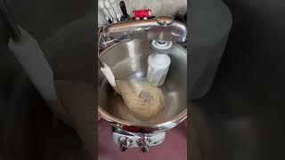 Ankarsrum Assistent Original Stand Mixer mixing Pizza Dough [upl. by Cheke745]